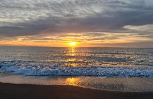 Marina di Bibbona Apartment | Ohana Resort