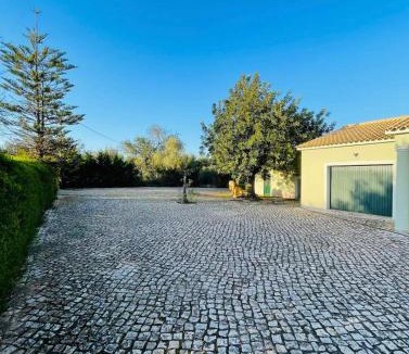 Silves Villa | Olive Villa