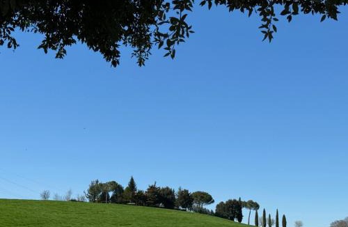 Corbara Apartment | Orvieto Country House
