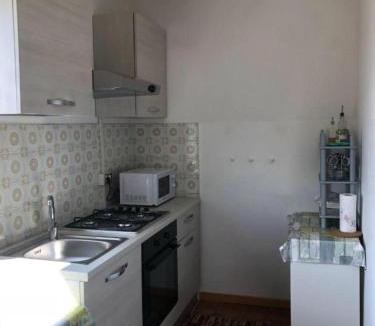 Offida House | Palme e vigne