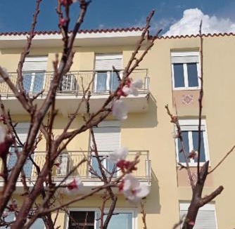 Lavagna Hotel | Piccolo Hotel
