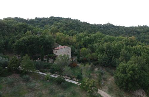 Castelnuovo di Val di Cecina Apartment | Podere Piandicava