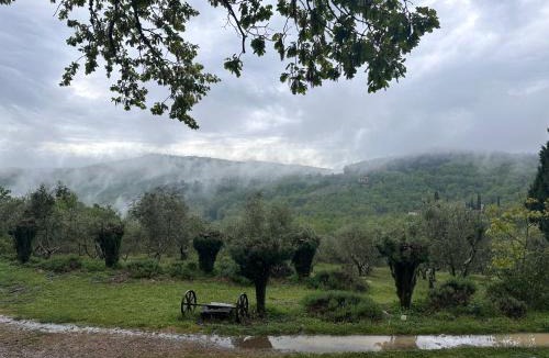 Castellina in Chianti Apartment | Podere Sagna