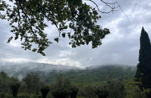 Castellina in Chianti Apartment | Podere Sagna