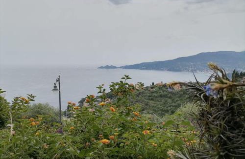 Zoagli Bed & Breakfast | portofino view