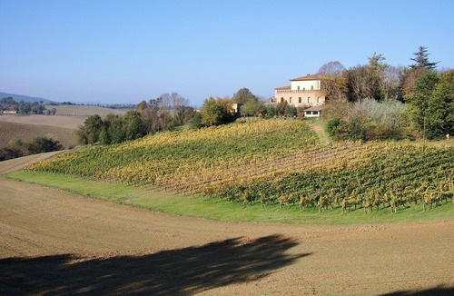 Montalcino Other | Private apartment for 4 people amongst the Montalcino vineyards