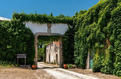 Alpiarca House | Quinta da Torre