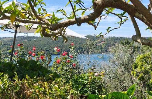 Abrantes House | Quinta do Chaparrinho