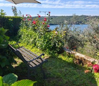 Abrantes House | Quinta do Chaparrinho
