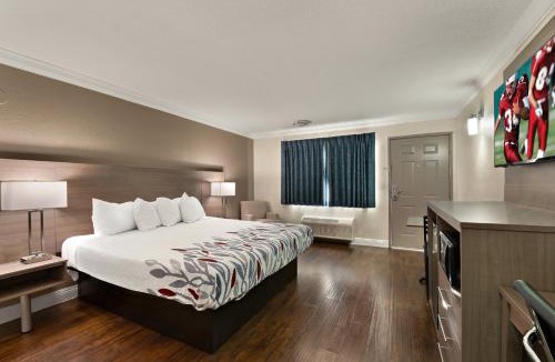 Bellflower Hotel | Red Roof Inn Los Angeles - Bellflower