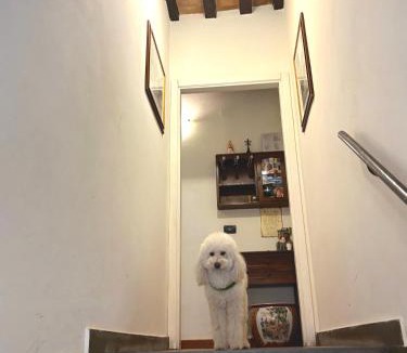 Gubbio Bed & Breakfast | Residenza Le Logge