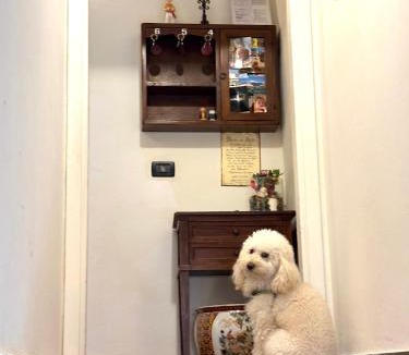 Gubbio Bed & Breakfast | Residenza Le Logge