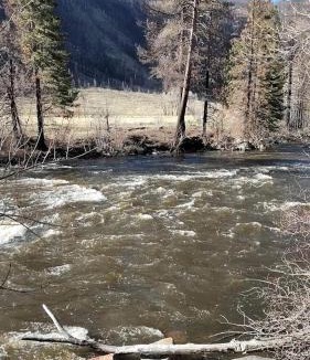 Bellvue House | Rustic, Pet Friendly Cabin near the Cache la Poudre River, Perfect for a Mountain Getaway