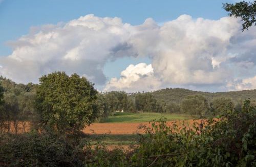 Massa Marittima Apartment | Rustic Tuscan style apartment
