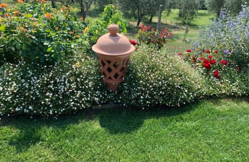 Parrano Apartment | SAN COSTANZO APPARTAMENTI VACANZE