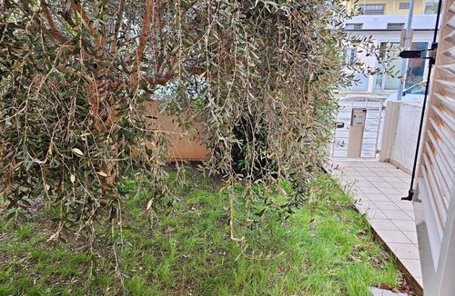 Marotta Apartment | SE052 - Marotta, delightful two-room apartment with garden