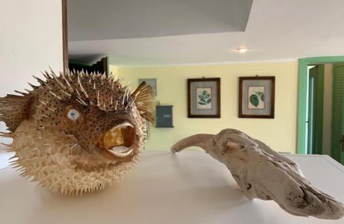 Bordighera Apartment | Seaside
