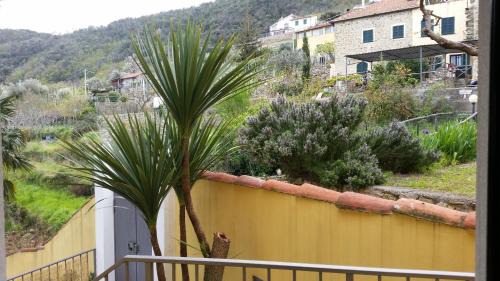 Ganduglia House | Sol y Ombra