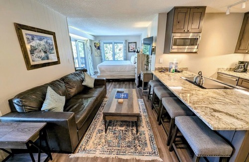 Mountain House Condo | Stylish Studio Mountain Escape/Trails, Bike Paths