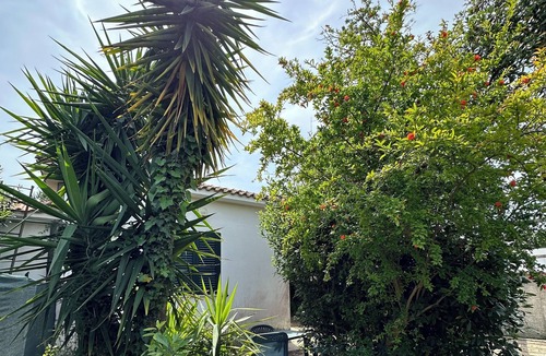 Porto Badino House | Terracina only 400 meters from the Sea!