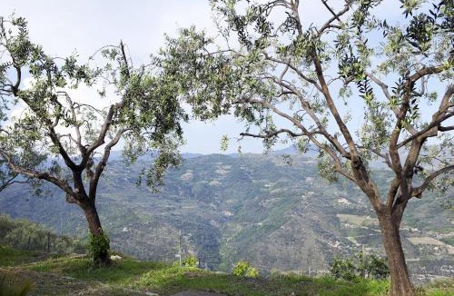 Dolceacqua Apartment | Terre Bianche Appartamenti
