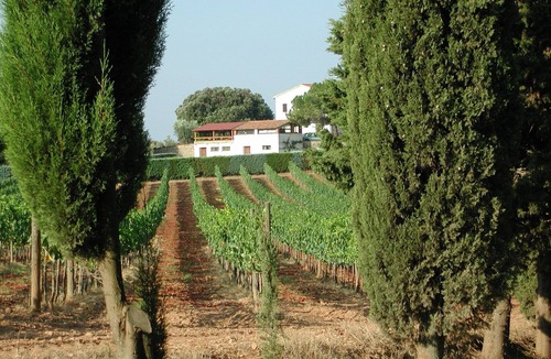 Massa Marittima House | Tesorino - Three-room apartment with garden in the countryside
