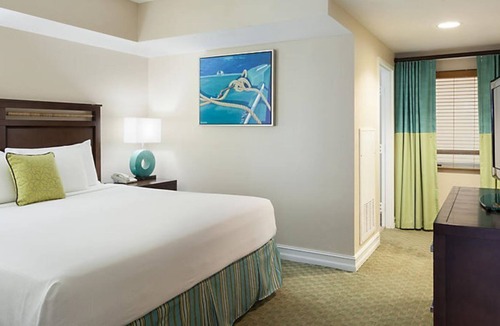Marathon Resort | The Hammocks at Marathon Family, Fun, and Relaxation all Together in One Place!