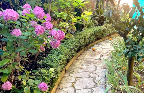 Parioli Apartment | The Private Garden