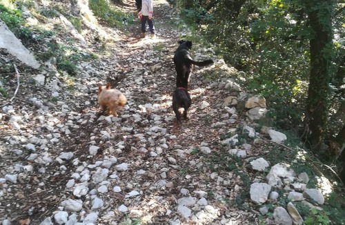 Piglio House | The small house of Ale - Piglio and dog trekking
