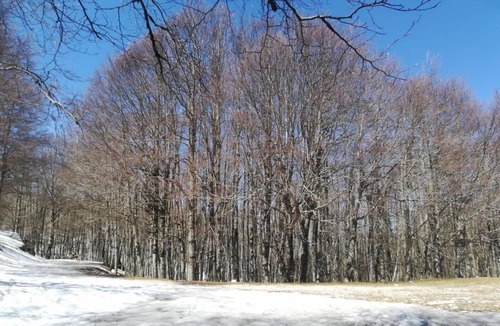 Piglio House | The small house of Ale - Piglio and dog trekking