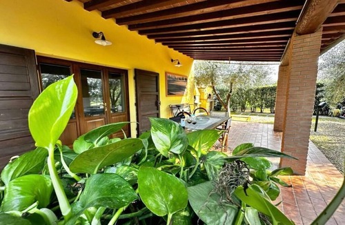 Cecina Cottage | Tuscany Cottage Paratino 53/A-Charming Studio surrounded by Tuscan olive trees