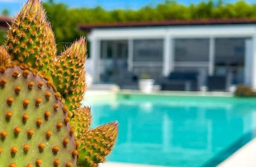 Latina Apartment | VILLA A CASA DI BETTY - Spacious & Bright Apartment with Private POOL - An Oasis of Peace to relax and recharge