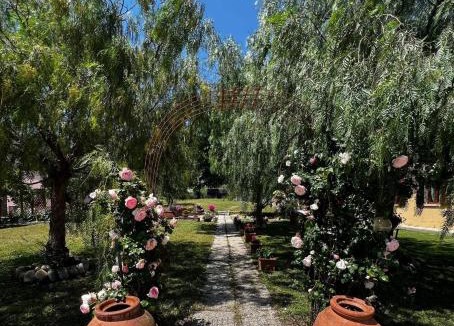 Campo nell'Elba Apartment | Villa Aiali