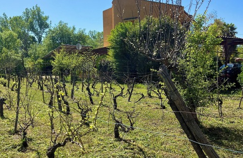 Sulmona Apartment | Villa Alberto