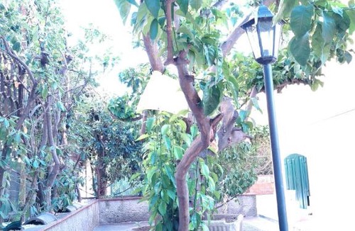 Bordighera House | Villa Arenella