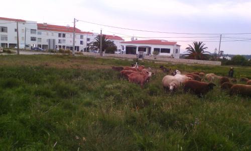 Aljezur House | Villa Bartoni