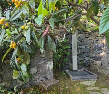 Varazze Villa | Villa Cokkinis fronte mare con ampio giardino