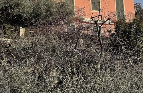 Recco Villa | VILLA DEGLI ULIVI - Splendid Villa for 4-6-8 people, 5 minutes walk from the sea