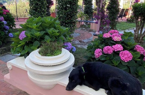 San Salvatore House | Villa Fieschi oasis of relaxation in full respect of Ligurian tradition