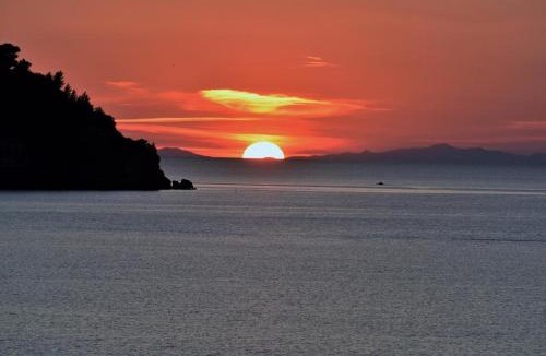 Porto Santo Stefano Bed & Breakfast | VILLA FLORA ARGENTARIO