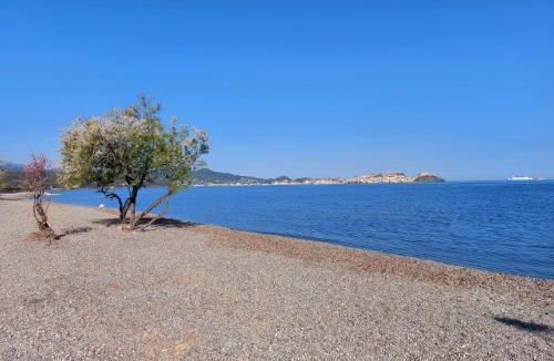 Magazzini Apartment | Villa Giolù a pochi passi dal mare