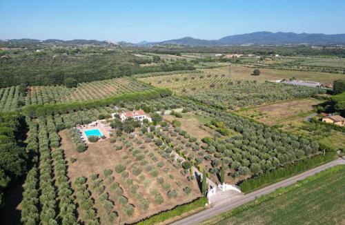 Cecina Villa | Villa La Rosa dei Venti