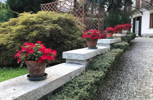 Nebbiuno Apartment | Villa Ombrosa