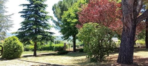 Pianola Villa | Villa Pina