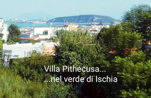Ischia Porto Apartment | Villa Pithecusa