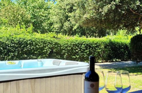 San Vincenzo Villa | Ville Di Villa Biserno