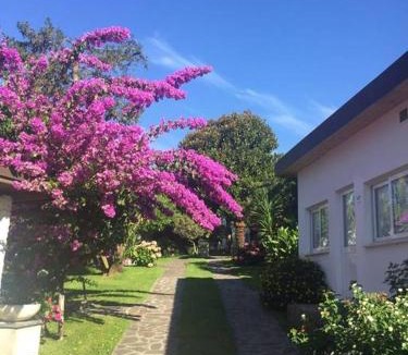 Sestri Levante House | villetta bifamiliare Cherie con parco e piscina
