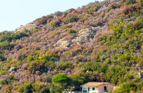 Scaglieri Villa | Villino Forno