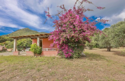 Lacona Villa | Villino Lampone with sea view, immersed in a garden of olive trees