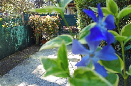 Marina Romea Apartment | Vrbo Property